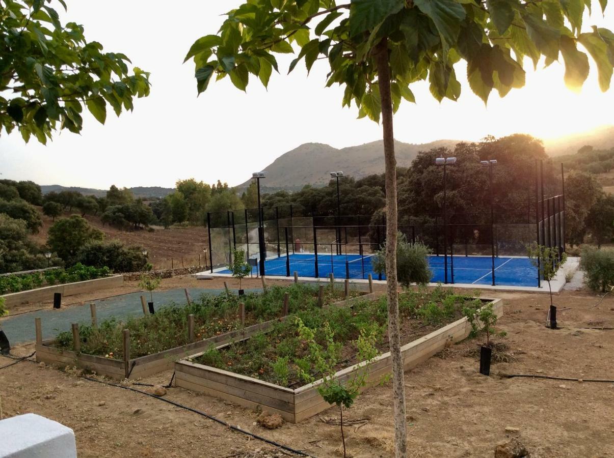 Santa Marta Complejo Rural Con Pista De Padel Affittacamere Archidona Esterno foto